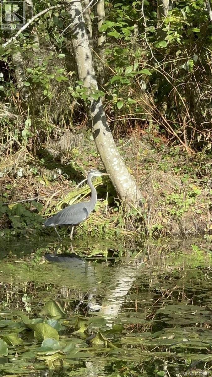 1520 Lazo Lane, Nanaimo, British Columbia  V9X 1M9 - Photo 31 - 1032393