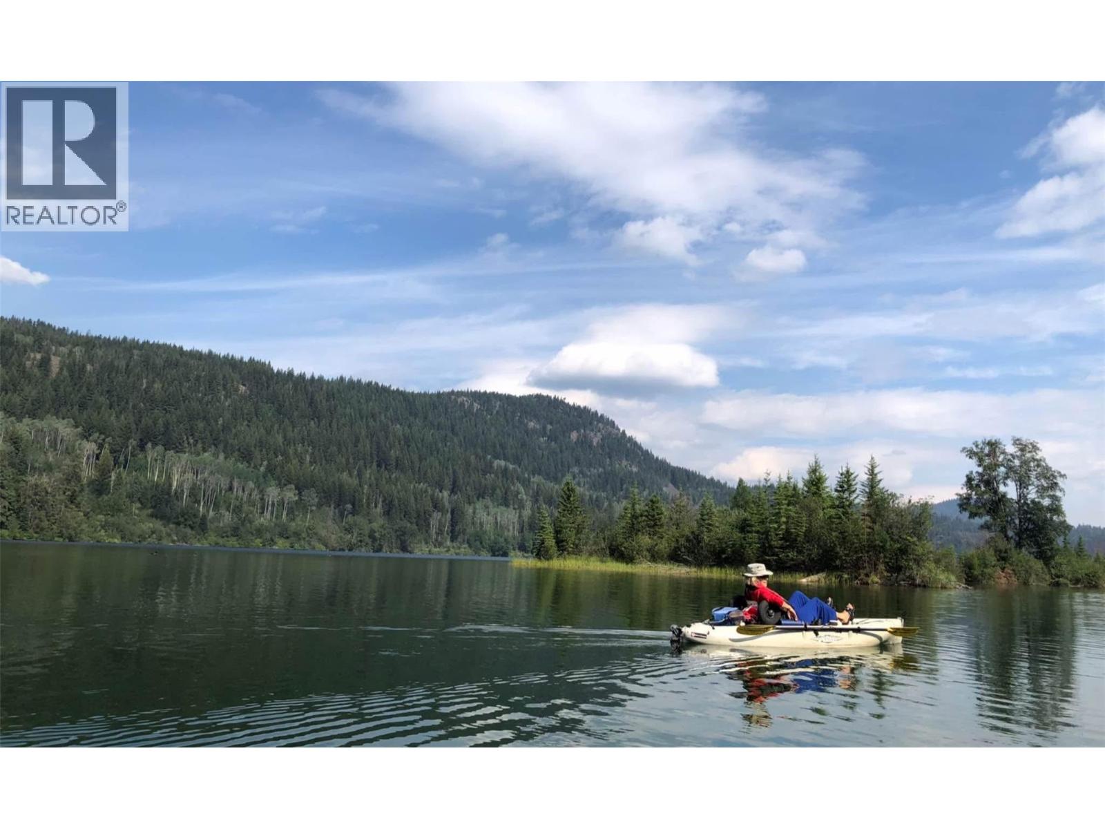 3782 River Drive, Blue River, British Columbia  V0E 1C0 - Photo 22 - 10383396