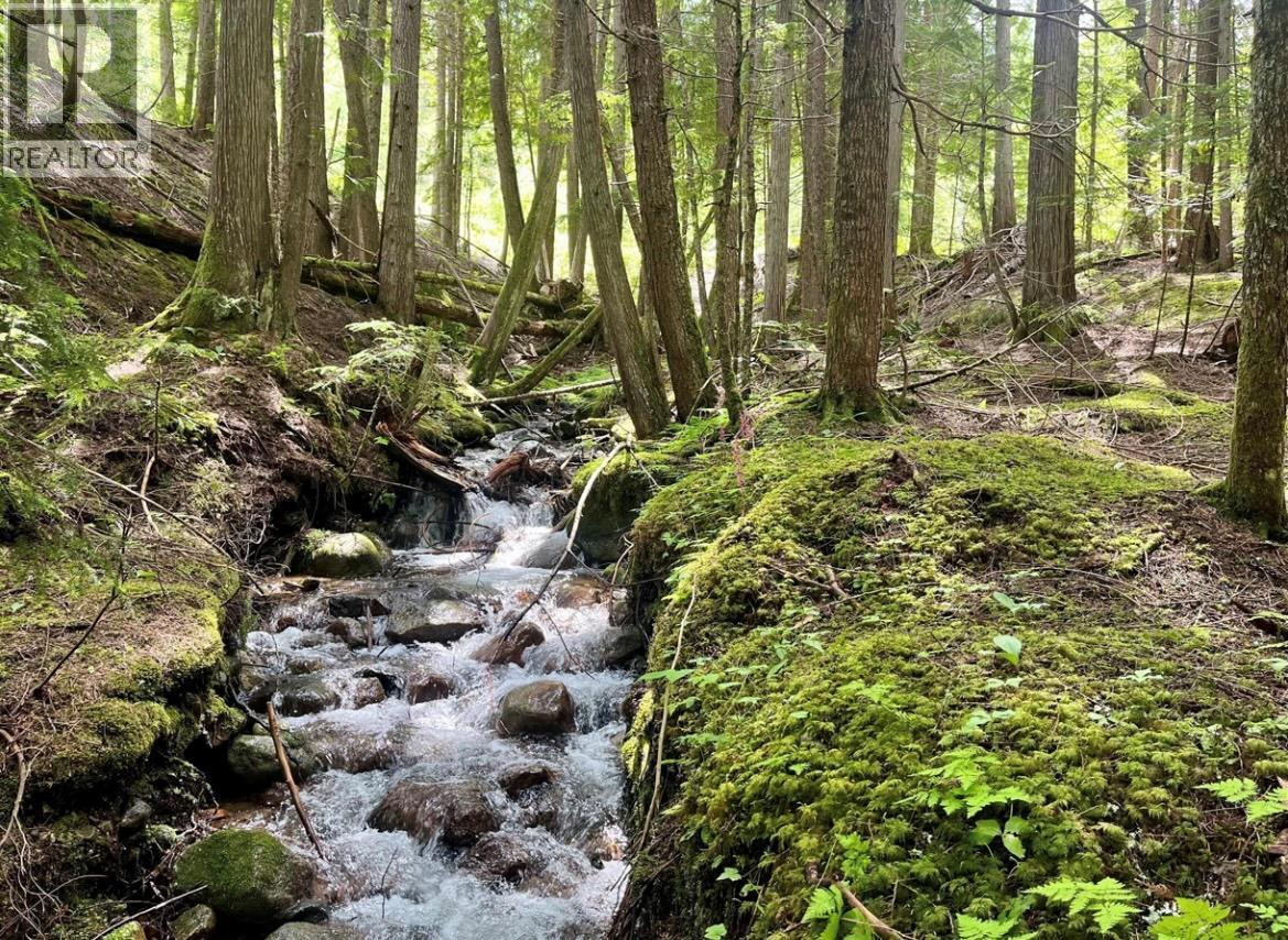 Lot 2 Red Mountain Road, Silverton, British Columbia  V0G 1S0 - Photo 1 - 10383407