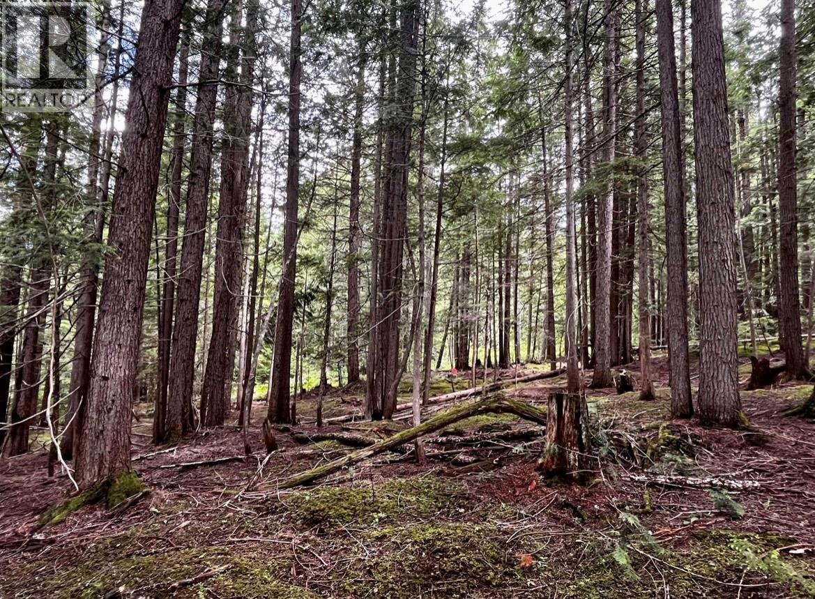 Lot 2 Red Mountain Road, Silverton, British Columbia  V0G 1S0 - Photo 10 - 10383407