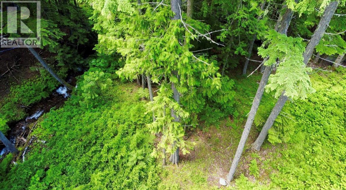 Lot 2 Red Mountain Road, Silverton, British Columbia  V0G 1S0 - Photo 18 - 10383407