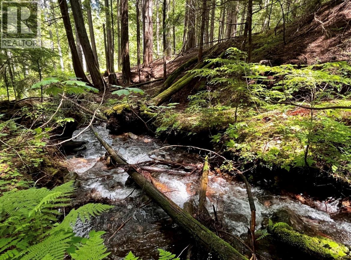 Lot 2 Red Mountain Road, Silverton, British Columbia  V0G 1S0 - Photo 2 - 10383407