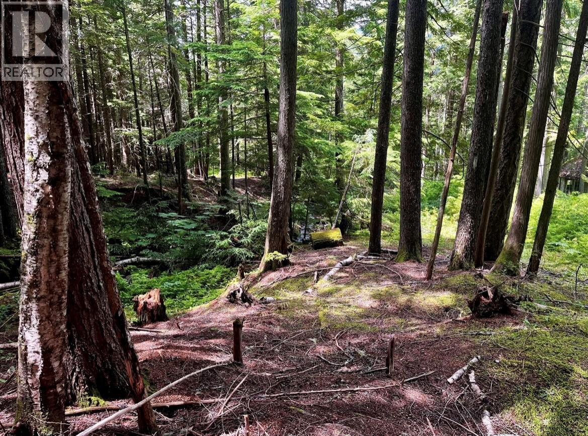 Lot 2 Red Mountain Road, Silverton, British Columbia  V0G 1S0 - Photo 21 - 10383407