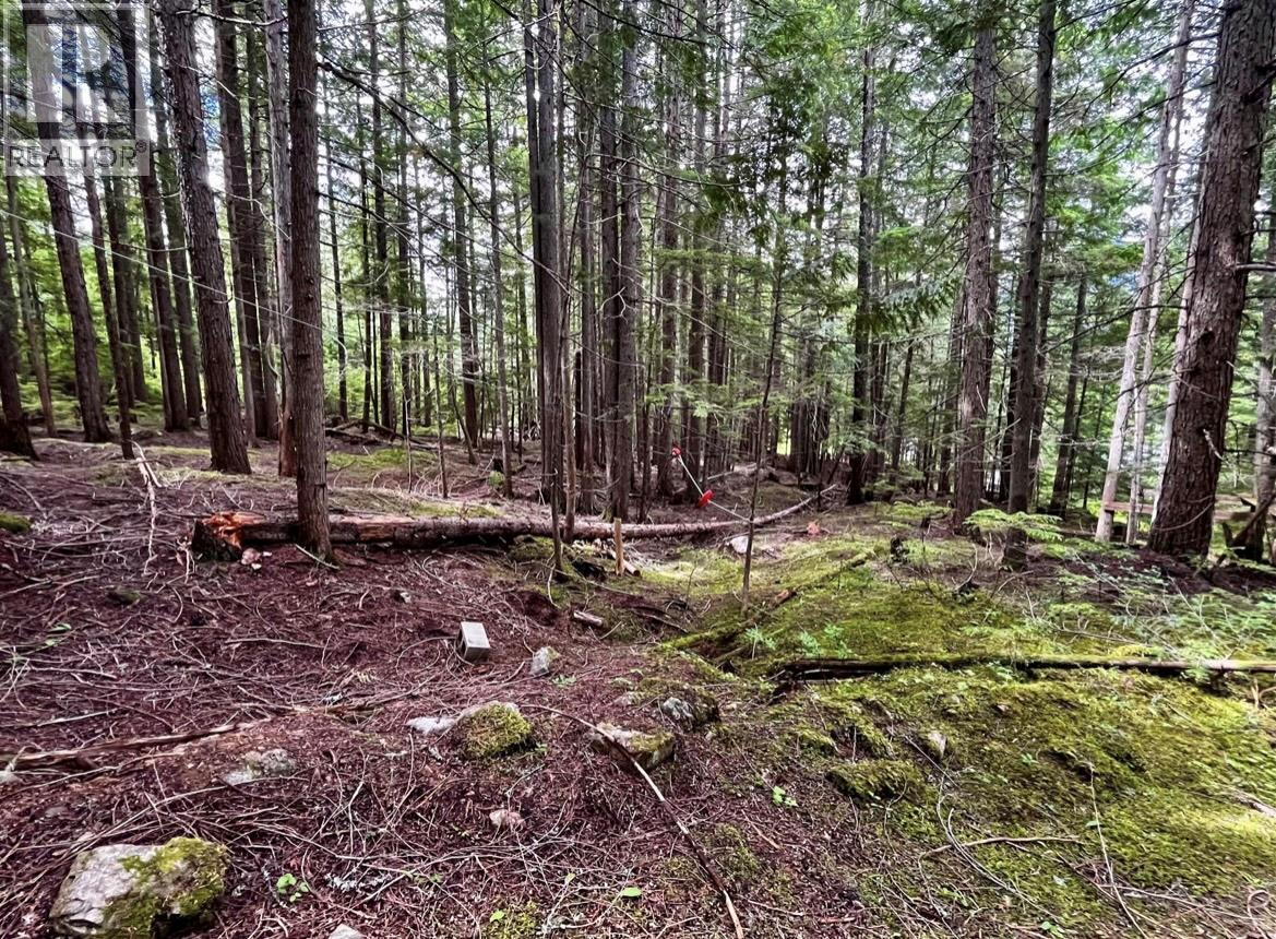 Lot 2 Red Mountain Road, Silverton, British Columbia  V0G 1S0 - Photo 22 - 10383407