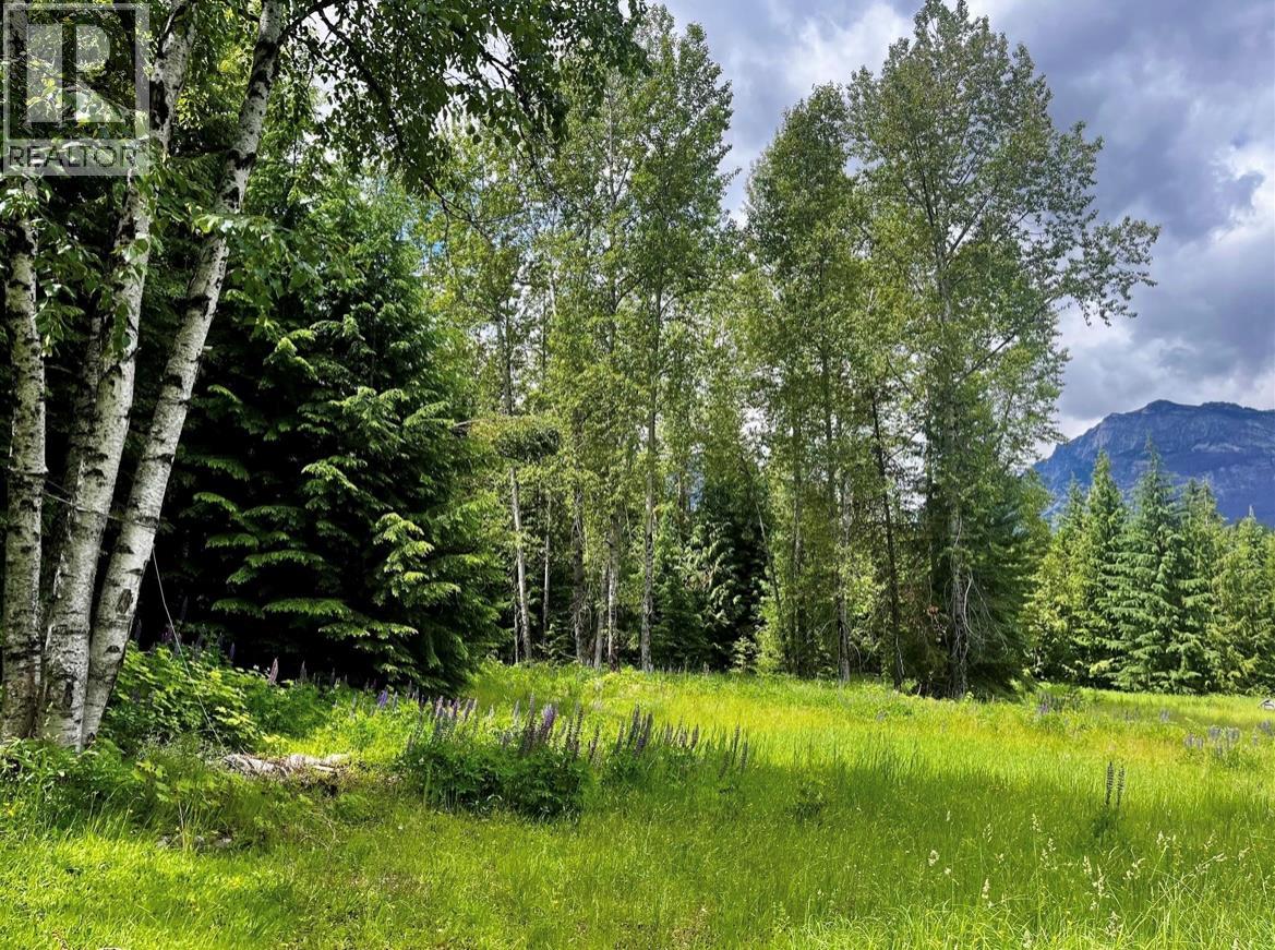 Lot 2 Red Mountain Road, Silverton, British Columbia  V0G 1S0 - Photo 23 - 10383407