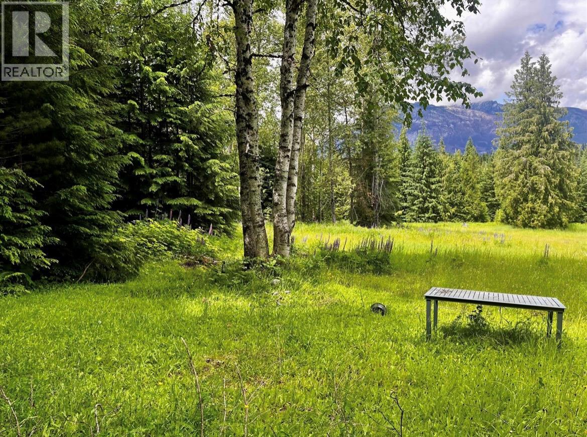 Lot 2 Red Mountain Road, Silverton, British Columbia  V0G 1S0 - Photo 4 - 10383407