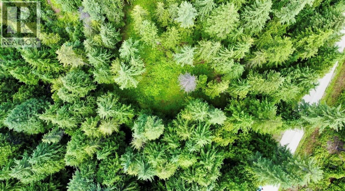 Lot 2 Red Mountain Road, Silverton, British Columbia  V0G 1S0 - Photo 5 - 10383407