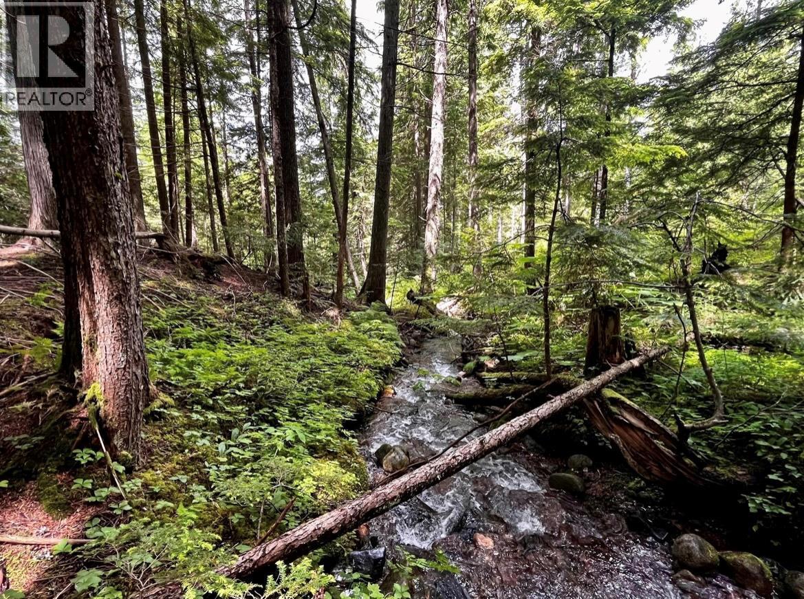 Lot 2 Red Mountain Road, Silverton, British Columbia  V0G 1S0 - Photo 9 - 10383407