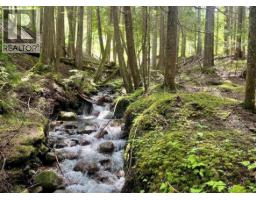 Lot 2 Red Mountain Road, Silverton, British Columbia