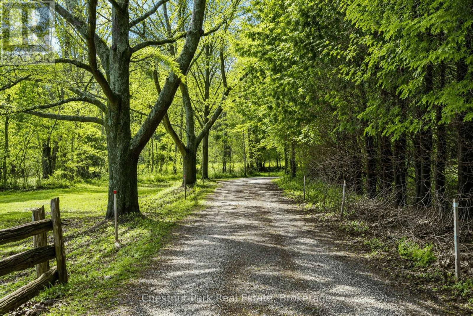 8943 County Road 9, Clearview, Ontario  L0M 1G0 - Photo 4 - S13009154