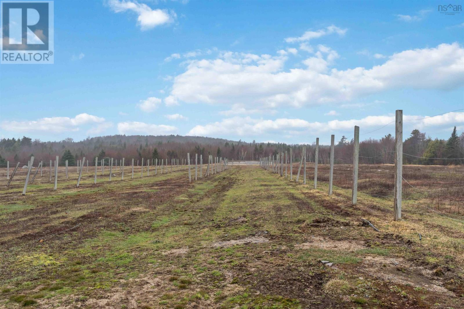 1272 Hilltown Road, Hilltown, Nova Scotia  B0W 3T0 - Photo 42 - 202607682