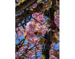 11 15192 62A AVENUE, Surrey, British Columbia