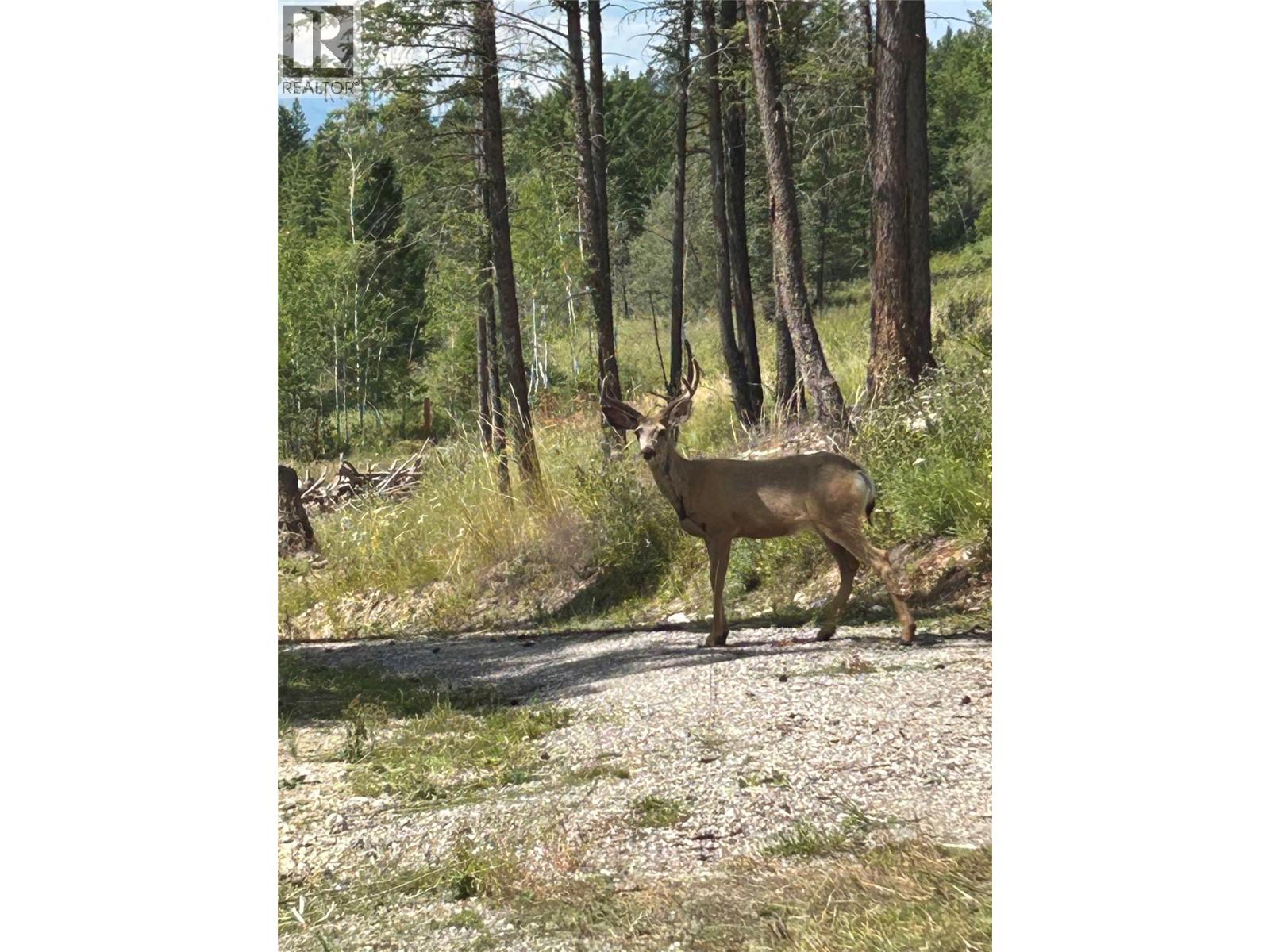 Csokony Road, Spur Valley, British Columbia