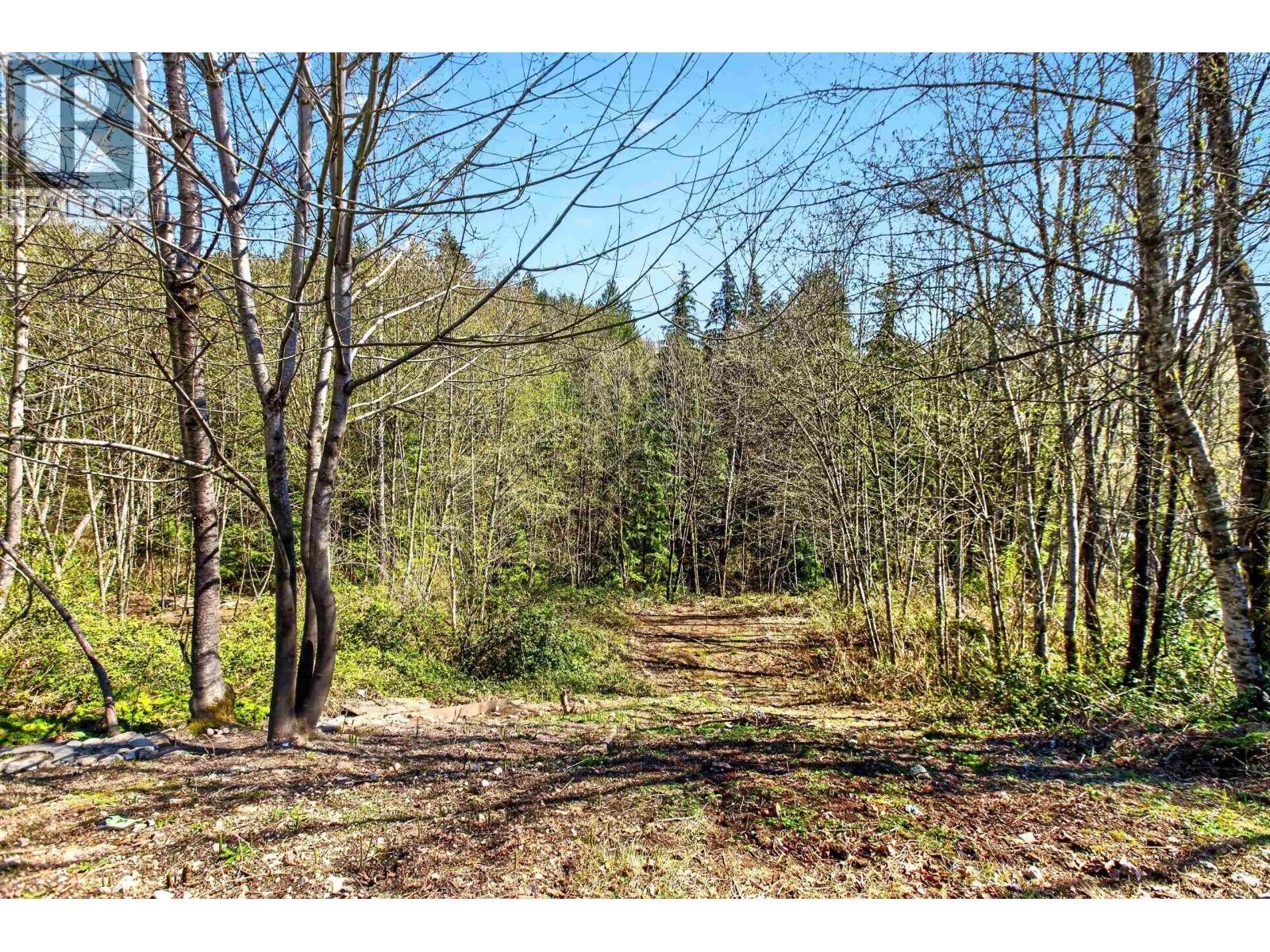 13380 Mccauley Crescent, Maple Ridge, British Columbia  V4R 2V2 - Photo 40 - R3108859