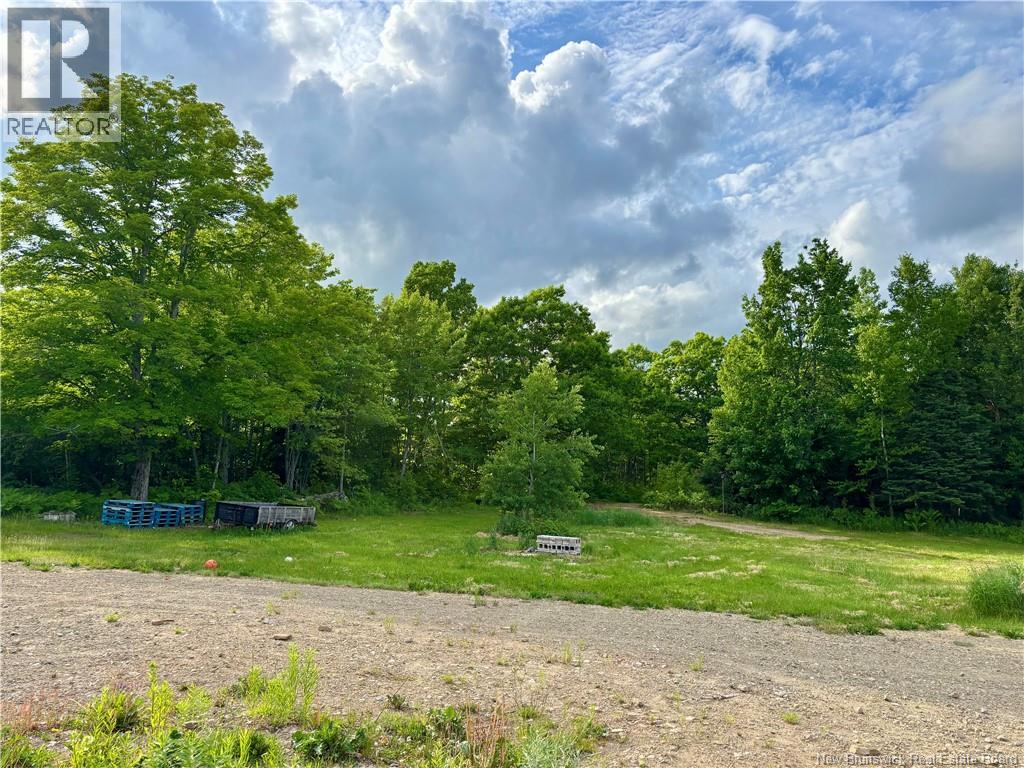 567 Rte 450, Lavillette, New Brunswick  E9G 2P9 - Photo 3 - NB121244