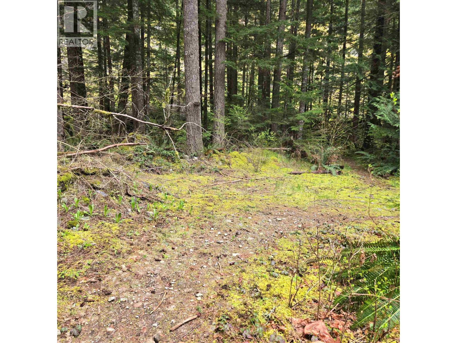 4040 Midnight Way, Squamish, British Columbia  V0N 1H0 - Photo 33 - R3112441