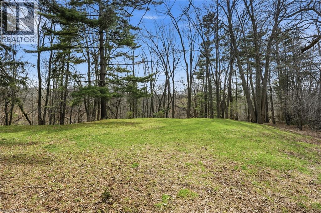 1266 Scenic Drive, Ancaster, Ontario  L9K 1J6 - Photo 41 - 40821658