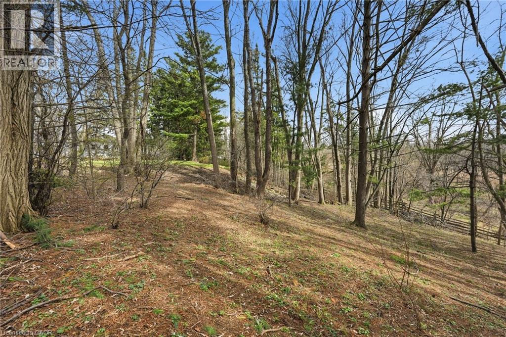 1266 Scenic Drive, Ancaster, Ontario  L9K 1J6 - Photo 43 - 40821658