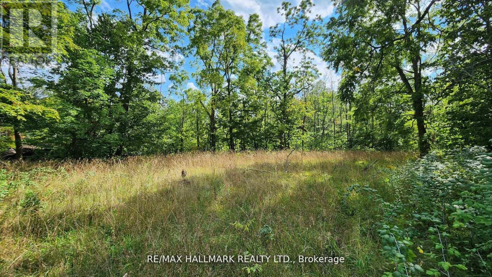 26 Lakeshore Road W, Oro-Medonte, Ontario  L0L 2E0 - Photo 21 - S13009302