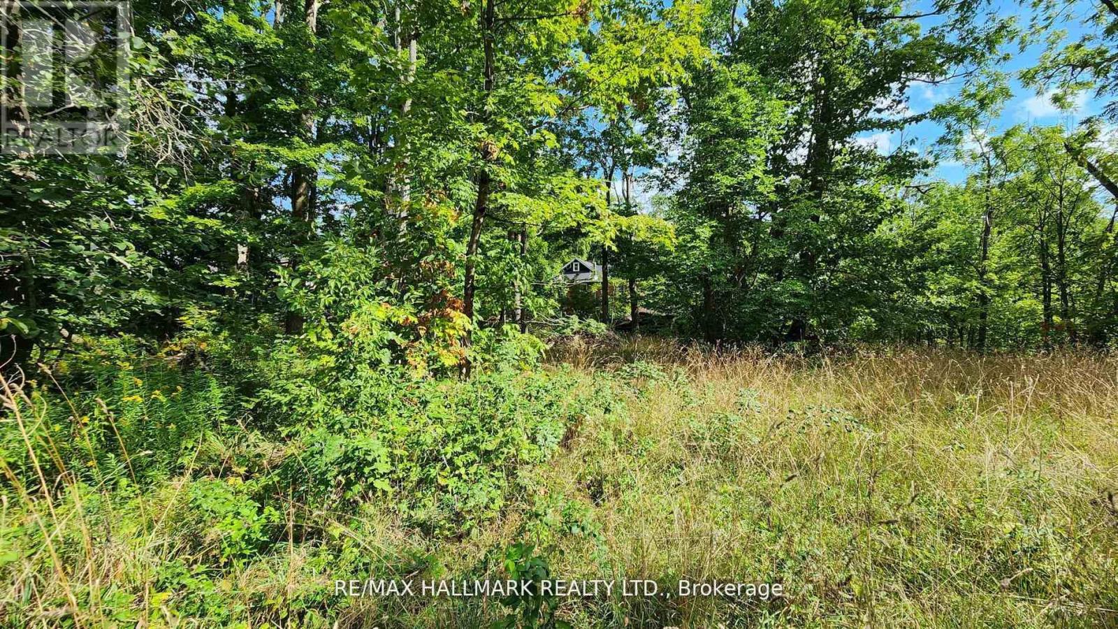 26 Lakeshore Road W, Oro-Medonte, Ontario  L0L 2E0 - Photo 22 - S13009302