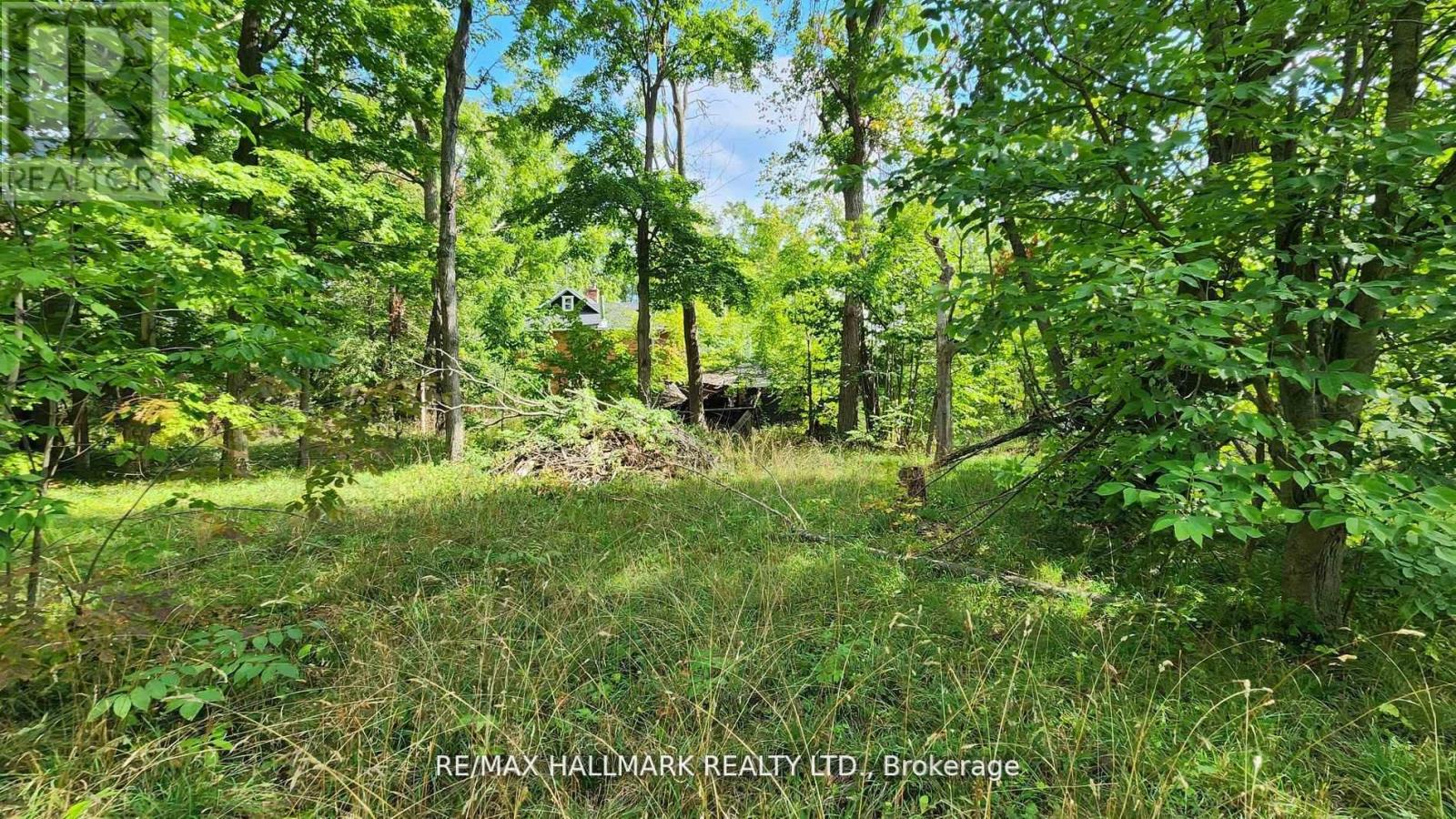 26 Lakeshore Road W, Oro-Medonte, Ontario  L0L 2E0 - Photo 23 - S13009302