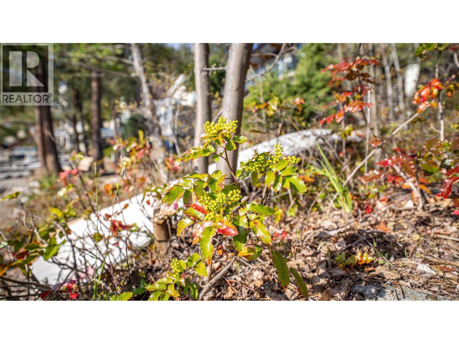 8525 Ewing's Landing Road Unit# 16, Vernon, British Columbia  V1H 2E7 - Photo 46 - 10383323