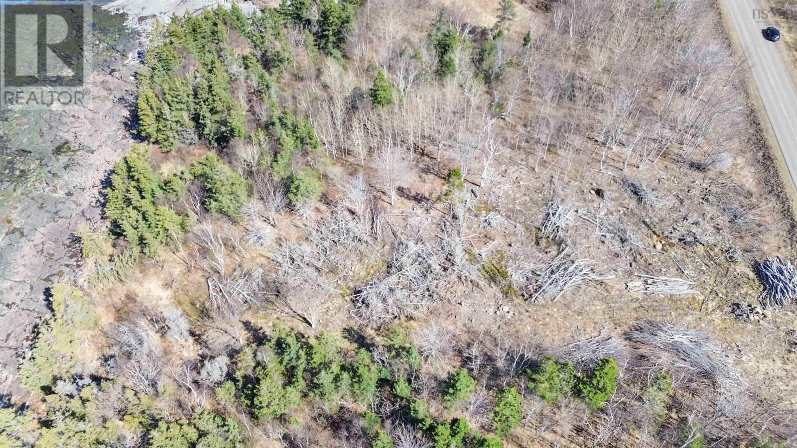 7115 Shore Road W, Phinneys Cove, Nova Scotia  B0S 1L0 - Photo 10 - 202505560