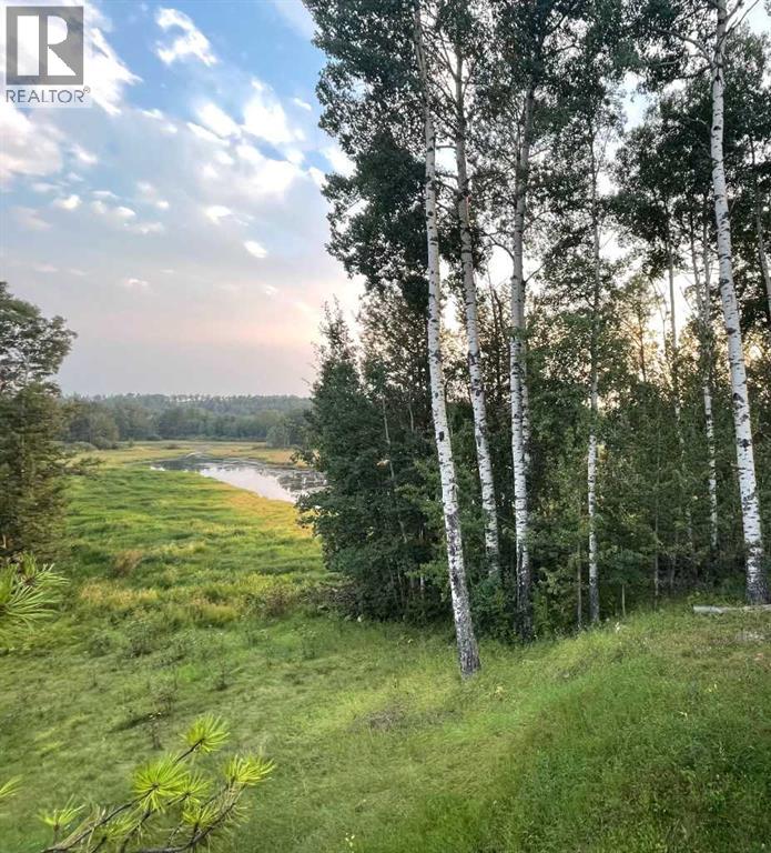 375040 Range Road 8-1, Rural Clearwater County, Alberta  T4T 2A2 - Photo 15 - A2294534