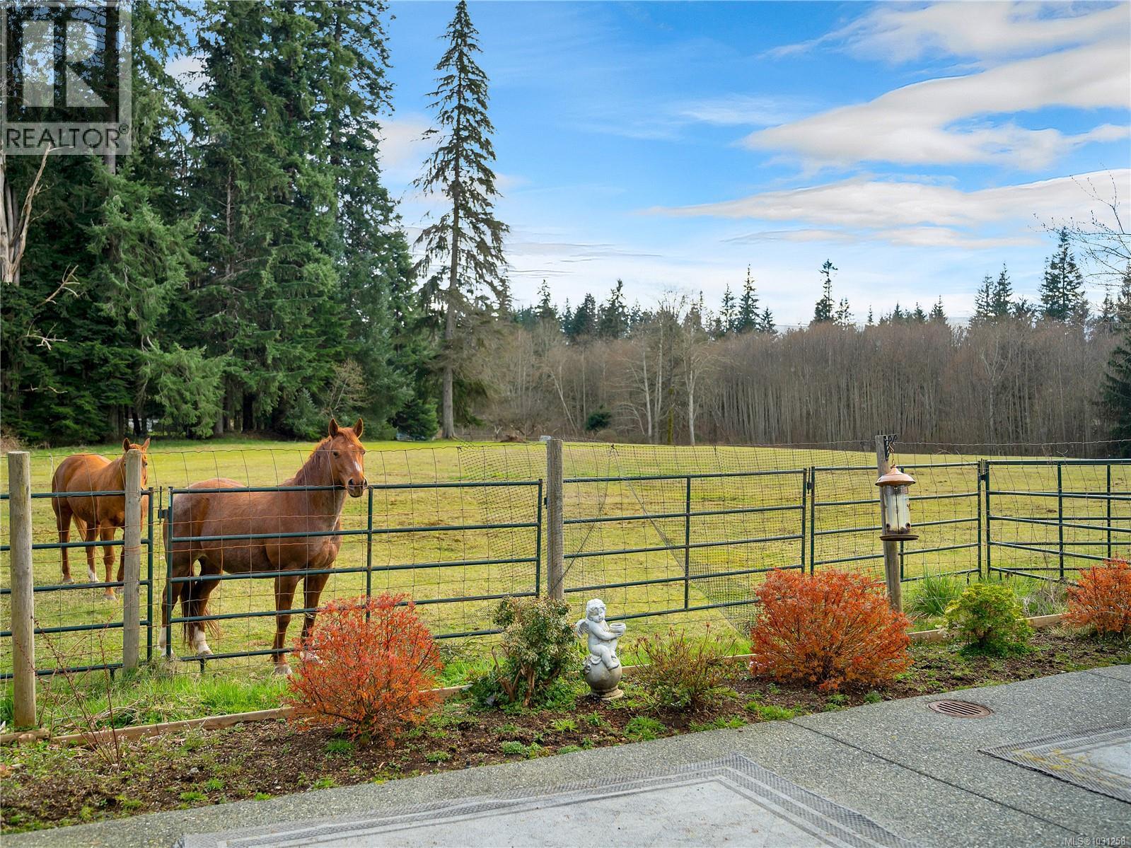 5 48 Mcphedran Rd S, Campbell River, British Columbia  V9W 3C6 - Photo 6 - 1031258