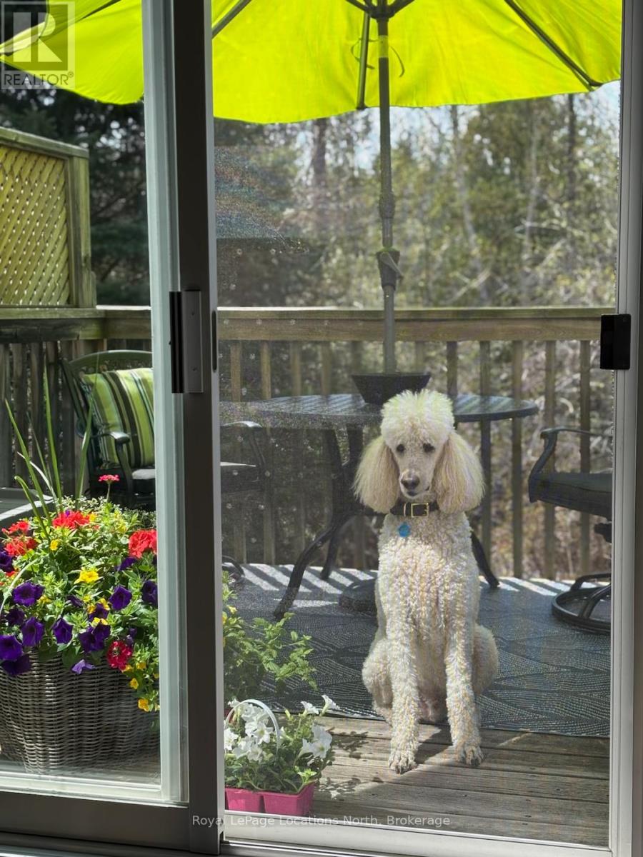 2 Royalton Lane, Collingwood, Ontario  L9Y 5K4 - Photo 33 - S13001364