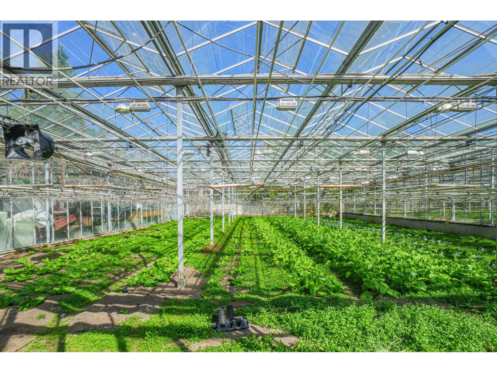 12310-12336 240 Street, Maple Ridge, British Columbia  V4R 1N1 - Photo 10 - C8077942