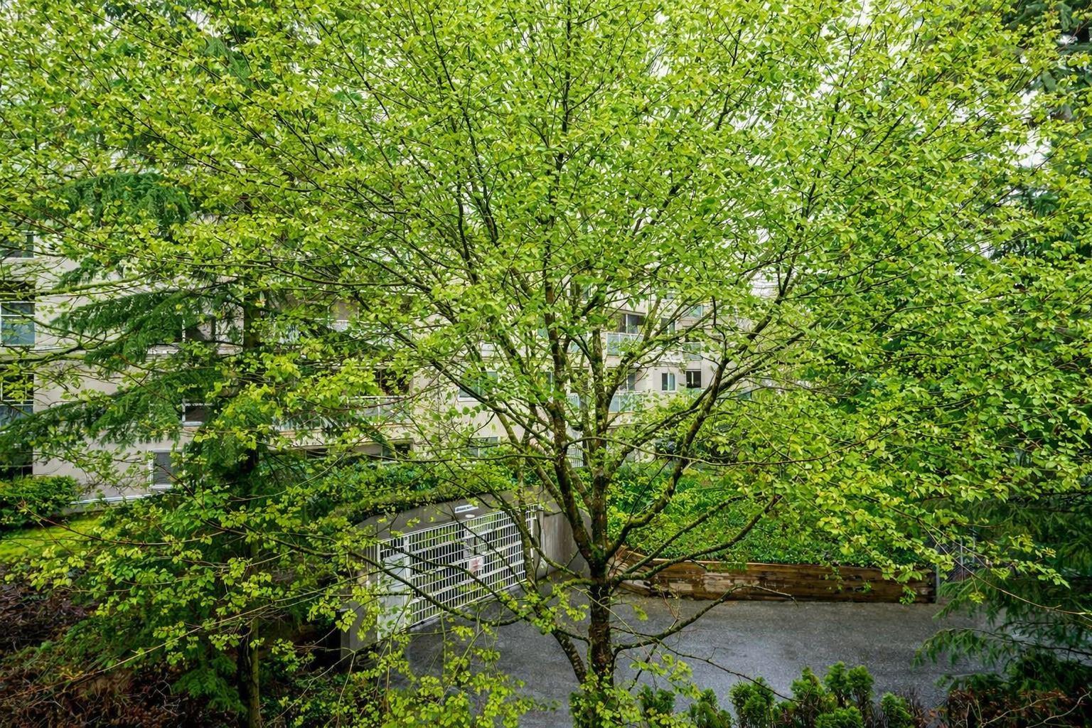 308 15188 29a Avenue, Surrey, British Columbia  V4P 1H1 - Photo 27 - R3111952