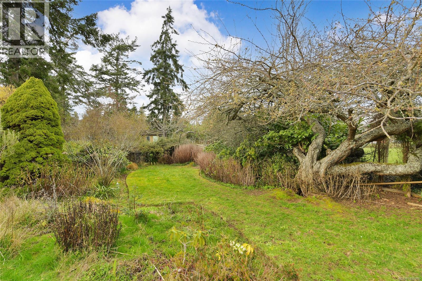 2218 Edgelow St, Saanich, British Columbia  V8N 1R5 - Photo 35 - 1032395