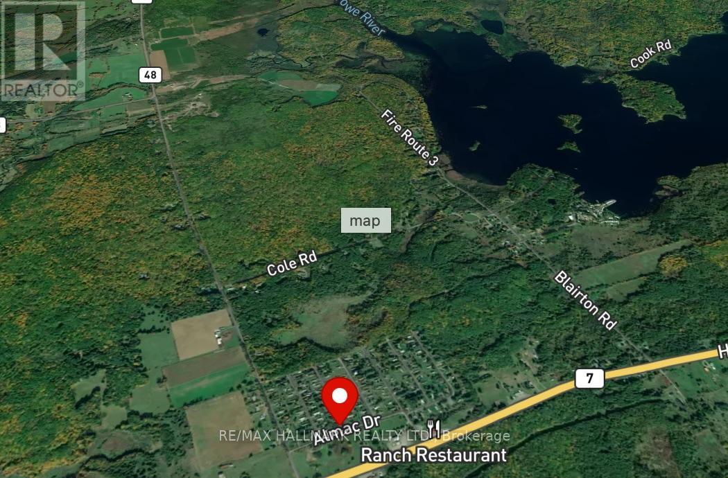 6 Seymour Street S, Havelock-Belmont-Methuen, Ontario  K0L 1Z0 - Photo 34 - X12990700