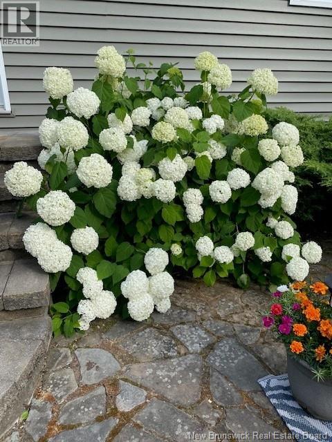 119 Stanley Street, Fredericton, New Brunswick  E3B 3A2 - Photo 49 - NB137267