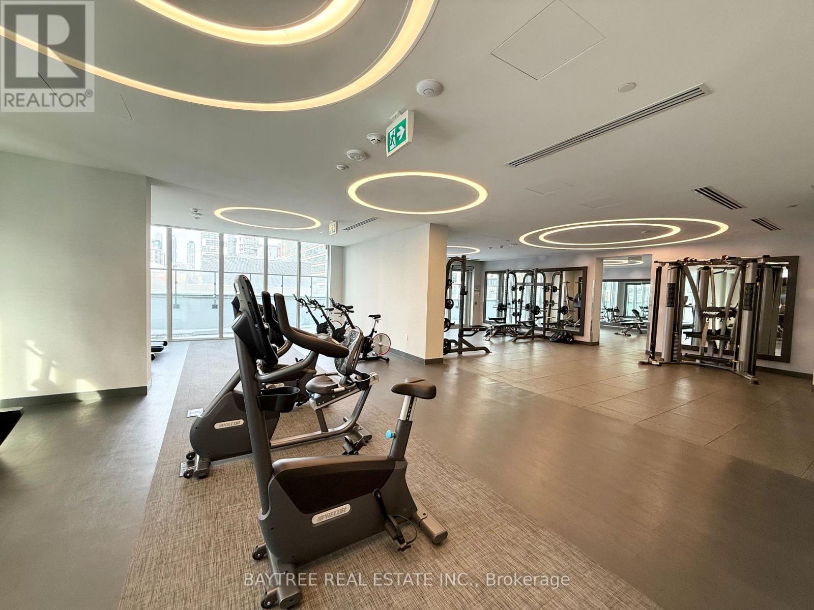 203 - 100 Dalhousie Street, Toronto, Ontario  M5B 0C7 - Photo 3 - C13009728