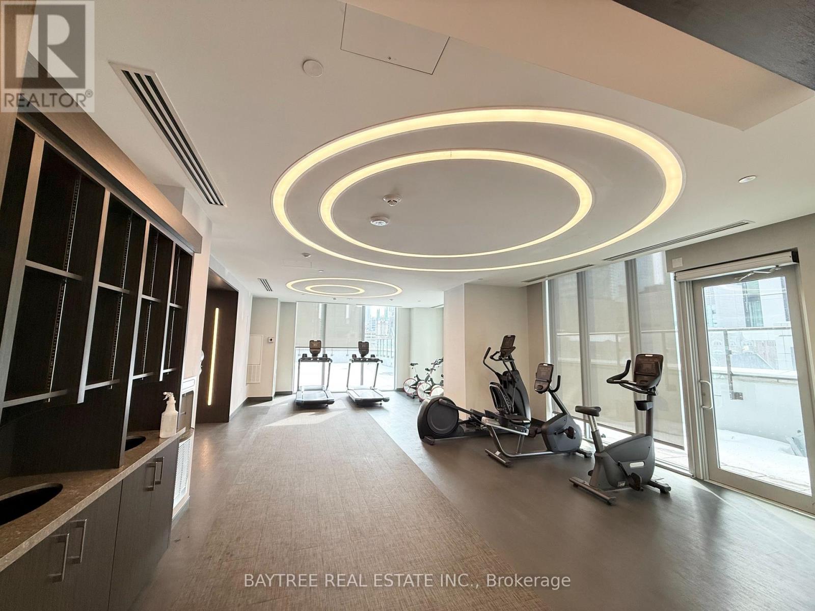 203 - 100 Dalhousie Street, Toronto, Ontario  M5B 0C7 - Photo 5 - C13009728