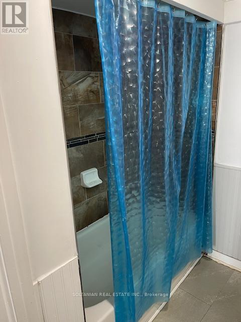 257 Parkwood Avenue, Georgina, Ontario  L4P 2X2 - Photo 23 - N13009762