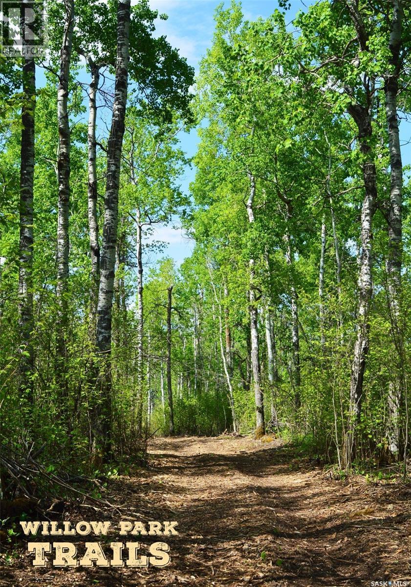 647 Willow Point Way, Lake Lenore Rm No. 399, Saskatchewan  S0K 3V0 - Photo 8 - SK033166