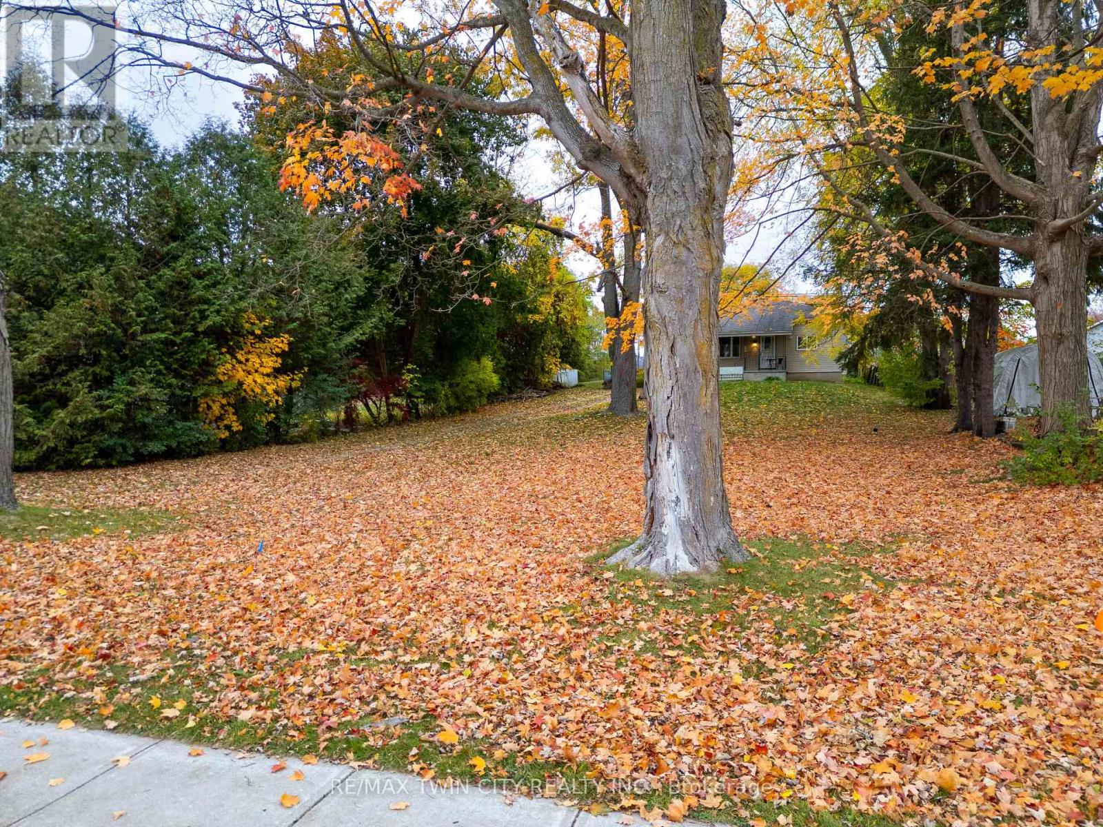 305 Hall Street, Ingersoll, Ontario  N5C 1V8 - Photo 22 - X13009698