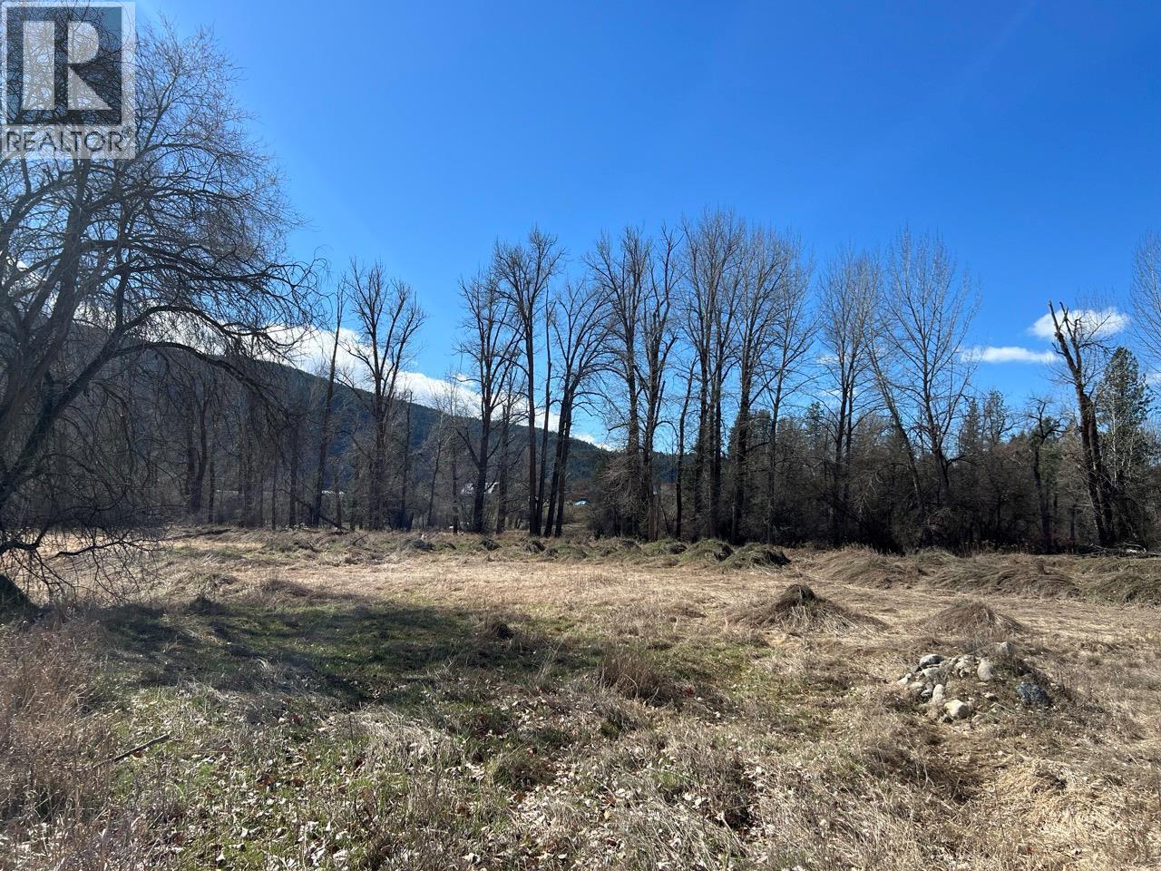 19th Street, Grand Forks, British Columbia  V0H 1H0 - Photo 18 - 10383847