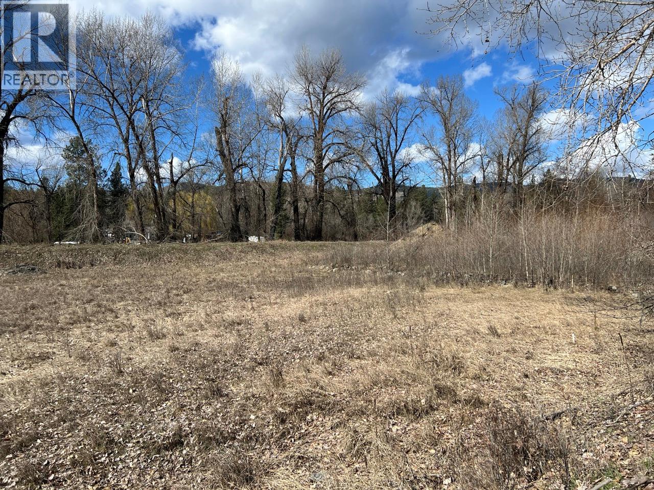 19th Street, Grand Forks, British Columbia  V0H 1H0 - Photo 19 - 10383847