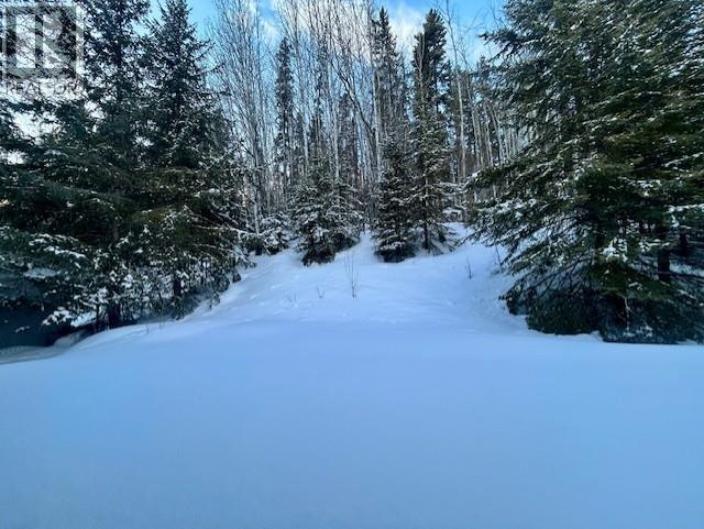 5735 Gairdner Crescent, Fort Nelson, British Columbia  V0C 1R0 - Photo 18 - R3112410