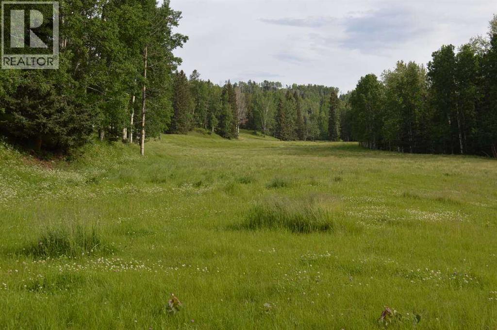 62076 James River Road, Rural Clearwater County, Alberta  T0M 1X0 - Photo 39 - A2252890