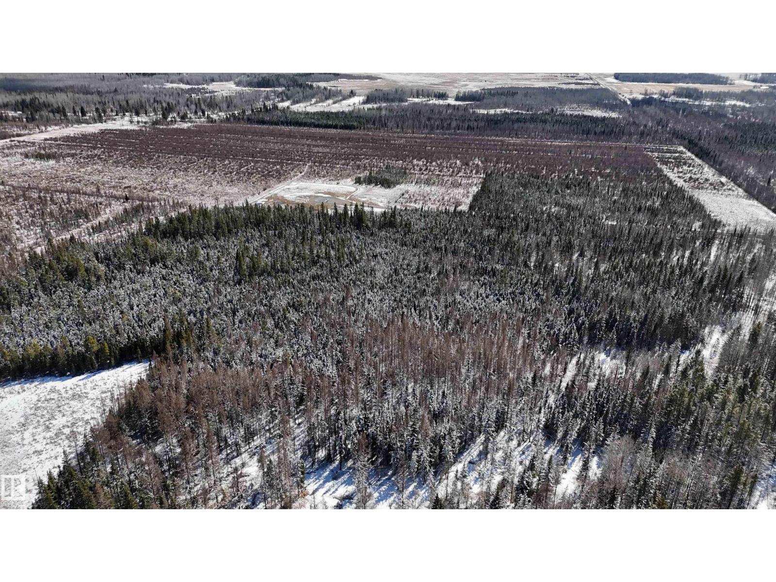 Twp 465 Rr 65, Rural Wetaskiwin County, Alberta  T0C 0T0 - Photo 6 - E4481499