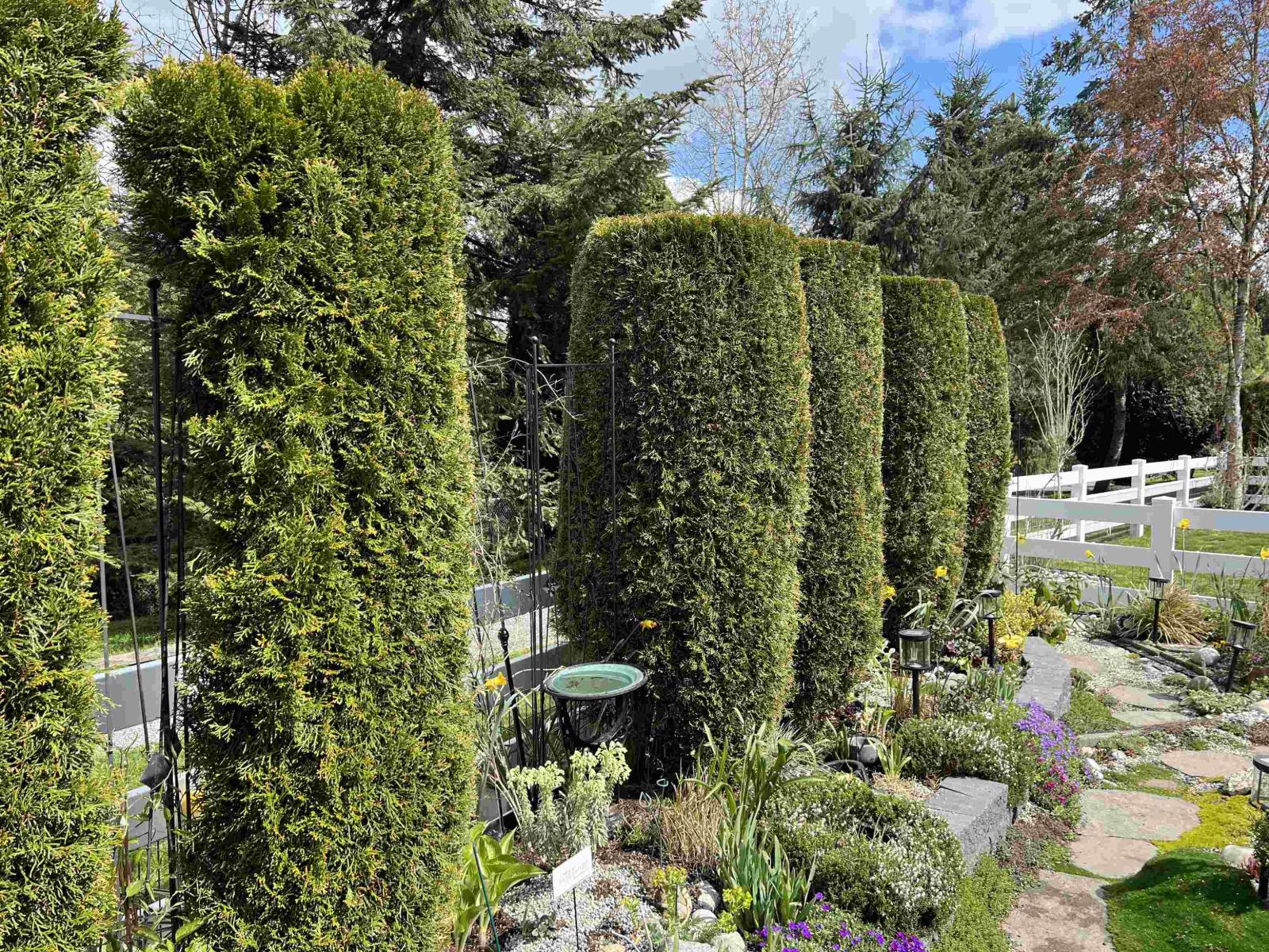 102 16995 64th Avenue, Surrey, British Columbia  V3S 0V9 - Photo 11 - R3112279