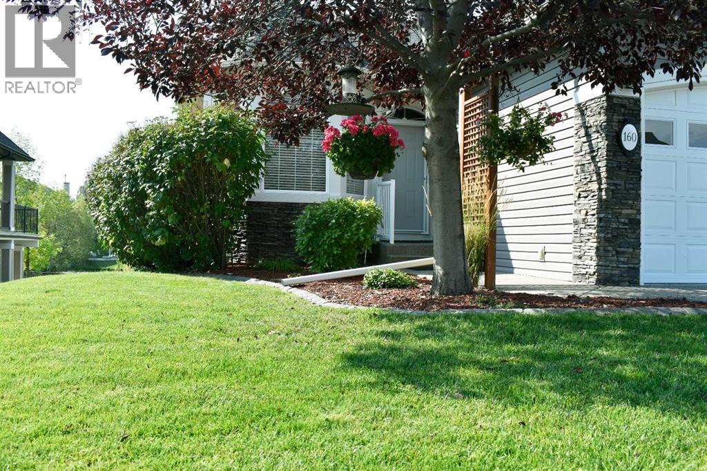 160 Sienna Passage, Chestermere, Alberta  T1X 0B6 - Photo 4 - A2295500