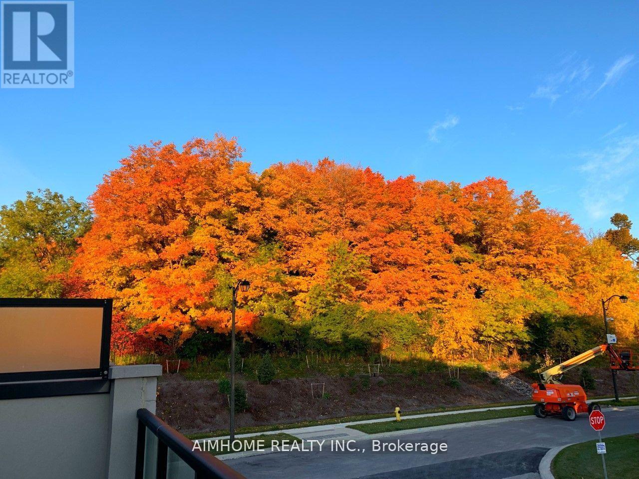 87 Carrville Woods Circle, Vaughan, Ontario  L6A 4Z6 - Photo 18 - N13009956