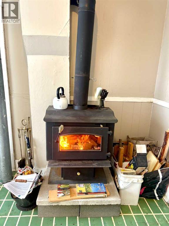 5035 50 Street, Innisfree, Alberta  T0B 2G0 - Photo 8 - A2301851