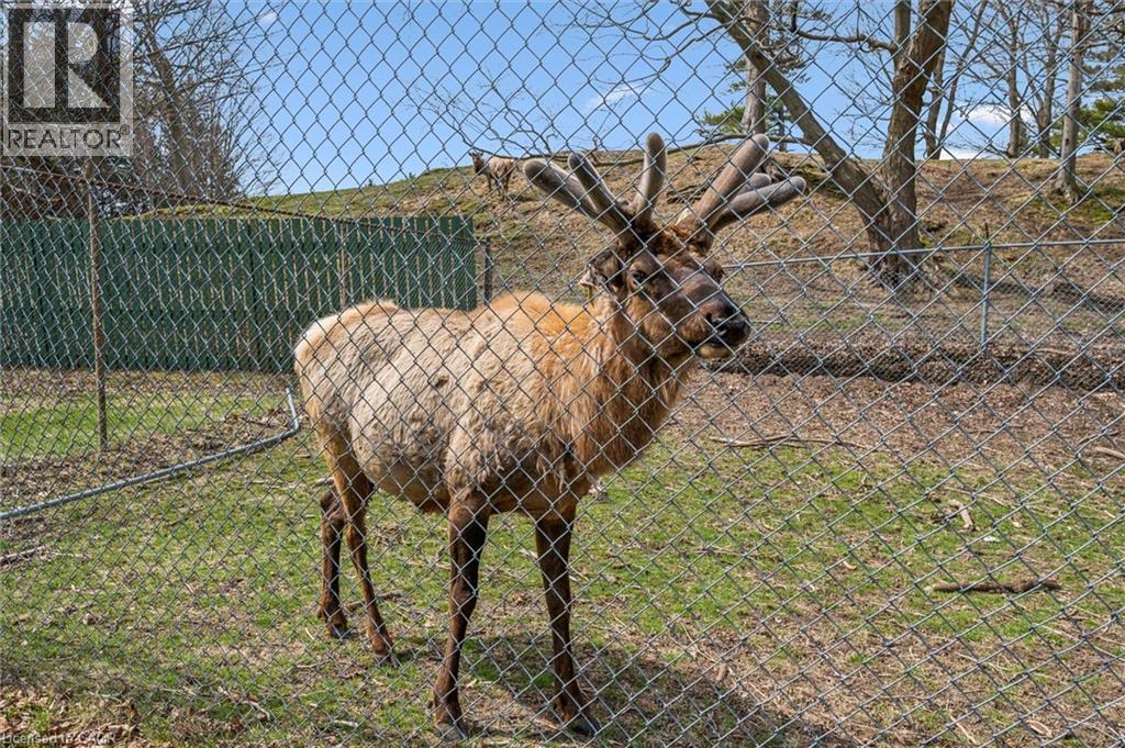 930 Lakeshore Road Unit# 83, Norfolk County, Ontario  N0J 1T0 - Photo 43 - 40821280